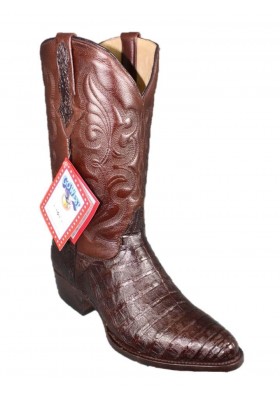 MEMPHIS CAFE COCCODRILLO PANCIA (pancia) UOMO GOWEST SANTIAG