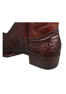 MEMPHIS CAFE COCCODRILLO PANCIA (pancia) UOMO GOWEST SANTIAG