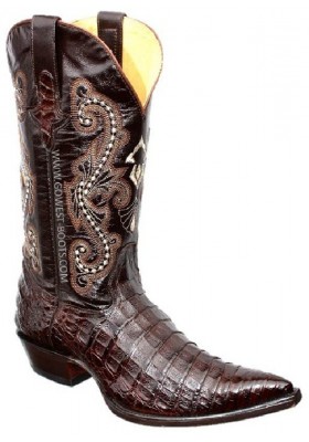 PANCIA DEL COCCODRILLO CHIHUAHUA (pancia) CAFE HOMME GOWEST SANTIAG