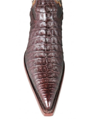 PANCIA DEL COCCODRILLO CHIHUAHUA (pancia) CAFE HOMME GOWEST SANTIAG