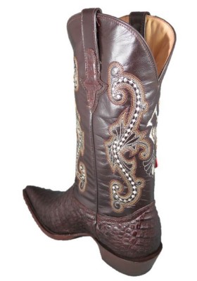 PANCIA DEL COCCODRILLO CHIHUAHUA (pancia) CAFE HOMME GOWEST SANTIAG