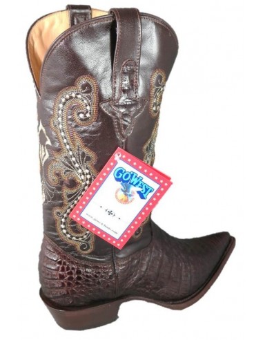 CHIHUAHUA COCODRILO VIENTRE (vientre) CAFE HOMME GOWEST SANTIAG