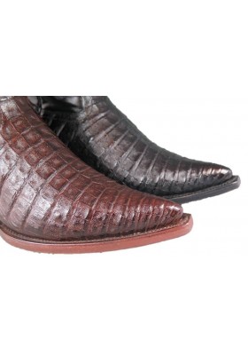 PANCIA DEL COCCODRILLO CHIHUAHUA (pancia) CAFE HOMME GOWEST SANTIAG