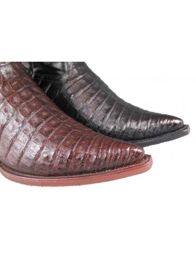 PANCIA DEL COCCODRILLO CHIHUAHUA (pancia) CAFE HOMME GOWEST SANTIAG