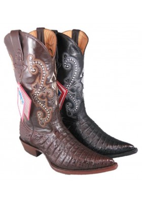 PANCIA DEL COCCODRILLO CHIHUAHUA (pancia) CAFE HOMME GOWEST SANTIAG