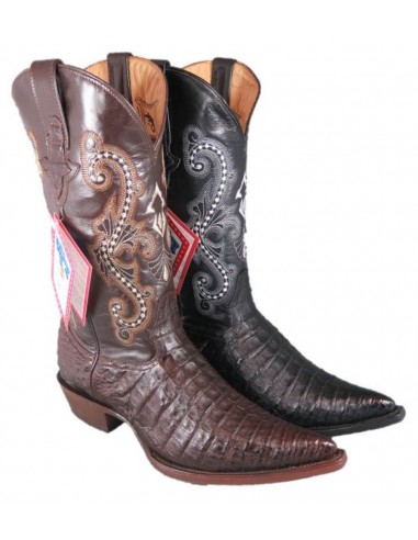 CHIHUAHUA COCODRILO VIENTRE (vientre) CAFE HOMME GOWEST SANTIAG