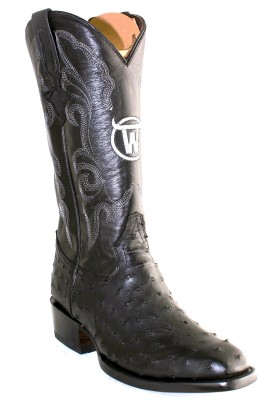 copy of LAFAYETTE BOTTES...