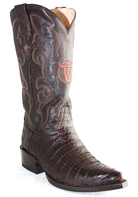 GEN. SANTA ANNA CAIMANO...