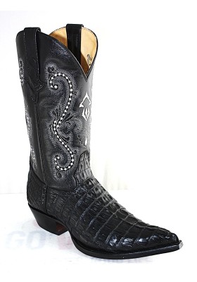 CHIHUAHUA BLACK CROCODILE TAIL