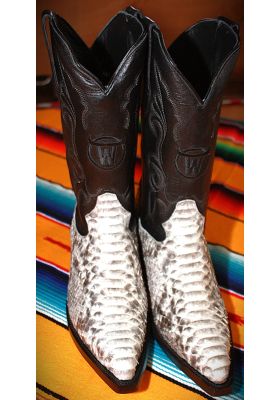 NEW MEXICO PYTHON NATUREL HOMME GOWEST SANTIAG