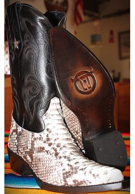 NEW MEXICO PYTHON NATUREL HOMME GOWEST SANTIAG