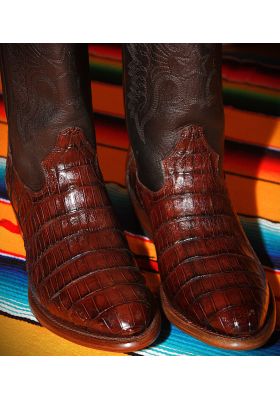 BELAGIO CROCODILE CAFE RPB HOMME GOWEST