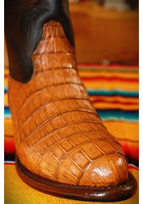 STIVALE CANICA STELLA COCCODRILLO ARACHIDI RPB UOMO GOWEST