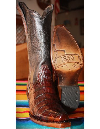 INDEPENDENCE CROCODILE CAFÉ MUJER GOWEST