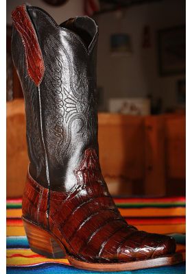 INDEPENDENCE CROCODILE CAFE FEMME GOWEST SANTIAGS